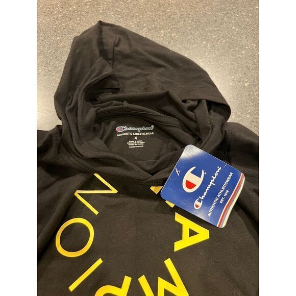 Champion toddler lightweight hoodie size 4 - Picture 3 of 9
